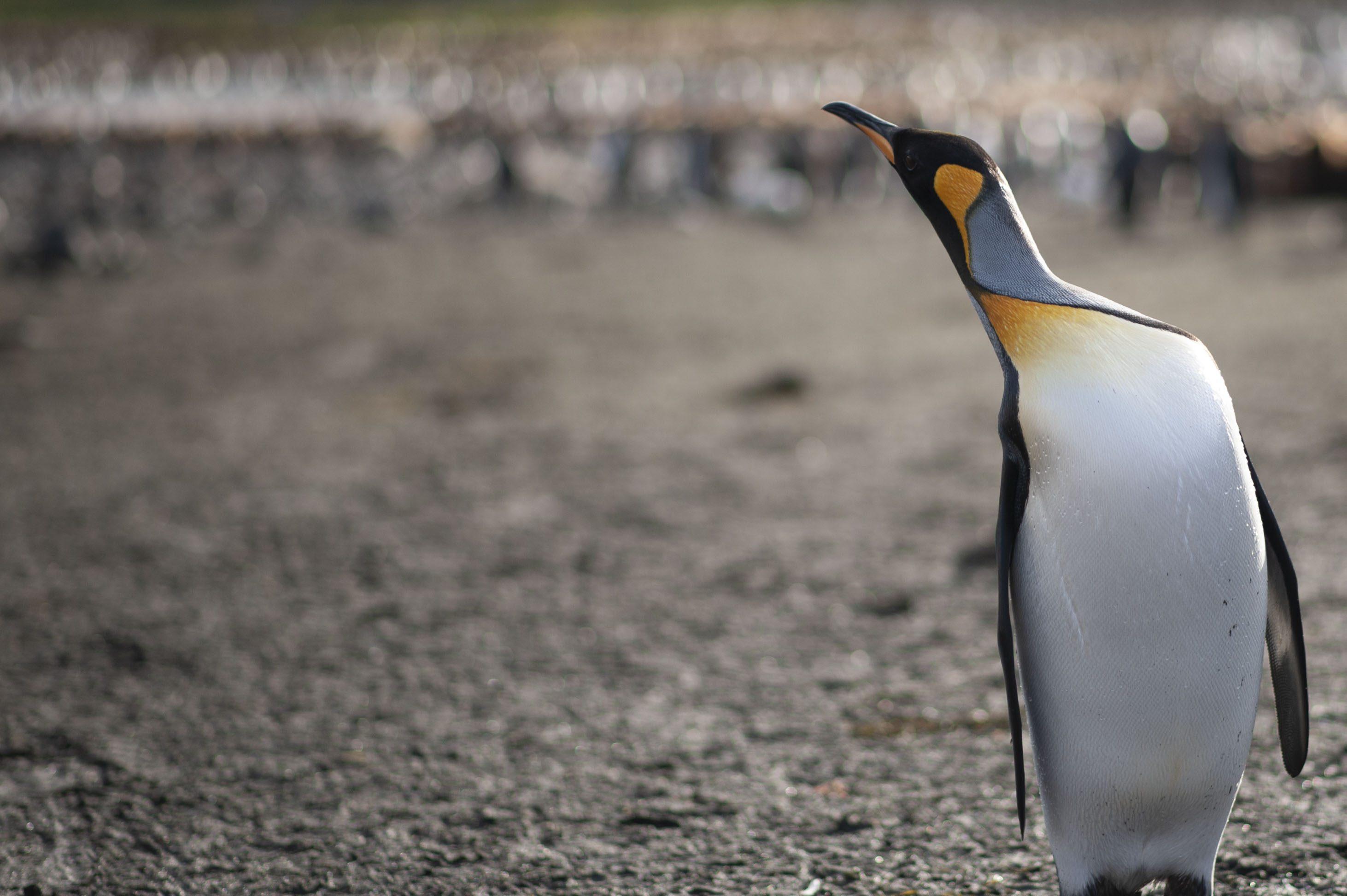 GYT 20220701 134343  DSC6255